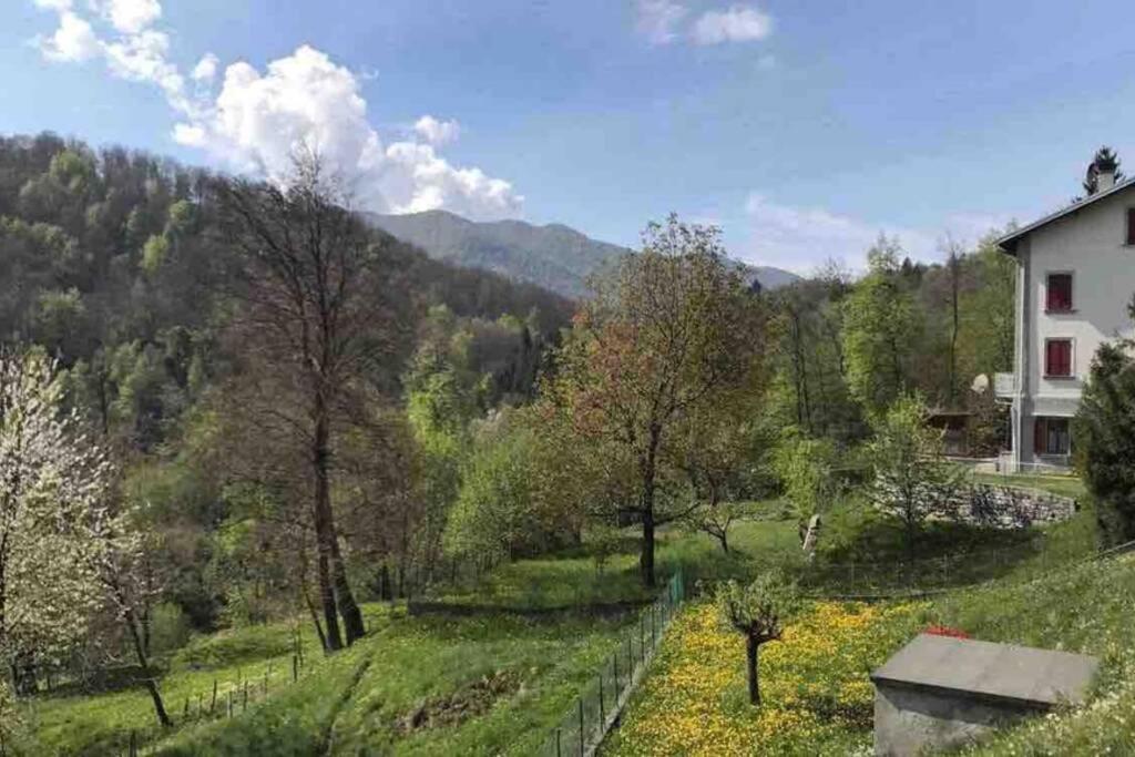 Lanzo D'Intelvi “La Marinella” Διαμέρισμα Εξωτερικό φωτογραφία